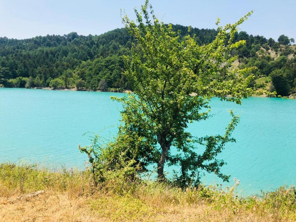 Guest House Qafe Dardha - Tomorr National Park Qafe Dardhe Εξωτερικό φωτογραφία