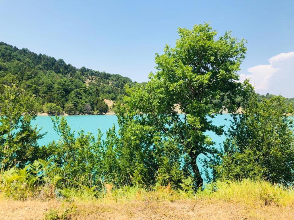 Guest House Qafe Dardha - Tomorr National Park Qafe Dardhe Εξωτερικό φωτογραφία